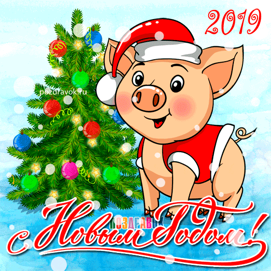 Прикольные открытки со свинками с Новым 2019 годом — поздравления 