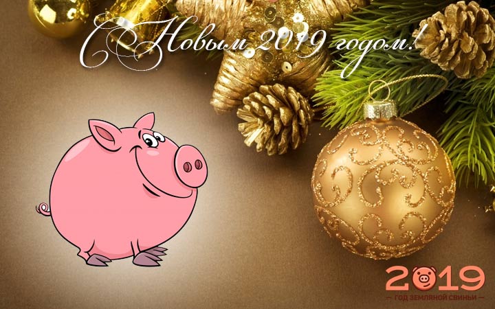 Новогоднее Поздравление Со Свинкой
