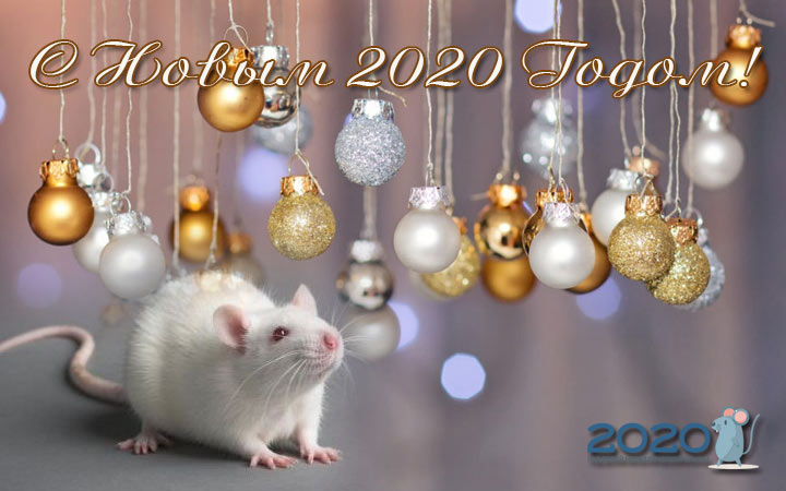 Открытки Поздравления С Новым Годом Мышки
