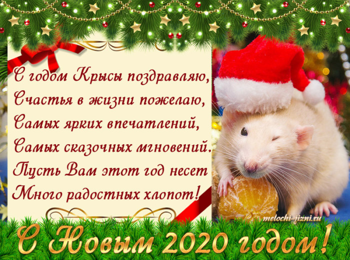 Новогоднее Поздравление В Год Мышки В Стихах