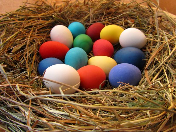Покраска яиц на Пасху