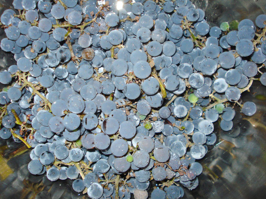 Желе из синего винограда с желатином