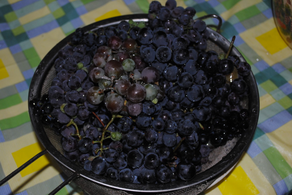 промытый виноград