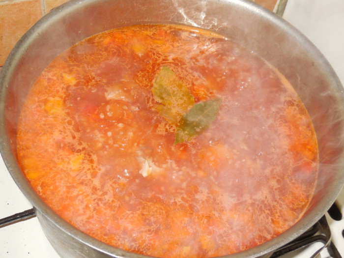 Вкусный суп на бульоне из индейки с овощами