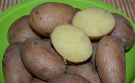Вареный картофель в мундире в кастрюле