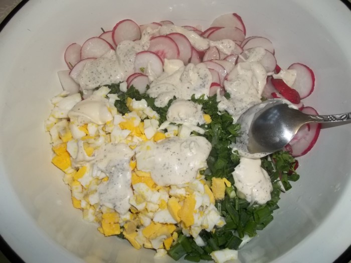 Весенний салат с редиской, яйцом и луком