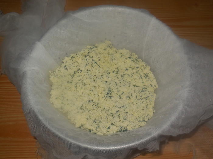 Домашний плавленный сыр из творога с укропом