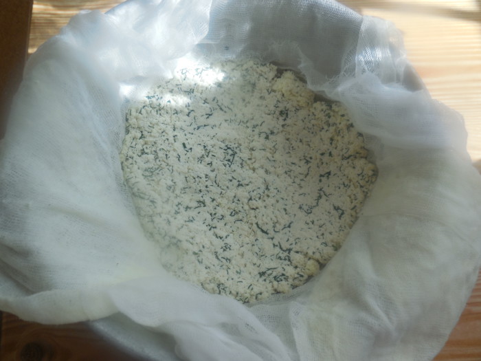 Домашний плавленный сыр из творога с укропом