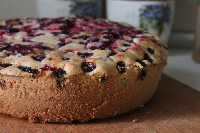 Песочный пирог с ягодами рецепт в духовке фото пошагово с фото