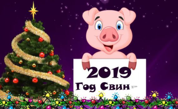 Новые поздравительные открытки с годом Свиньи