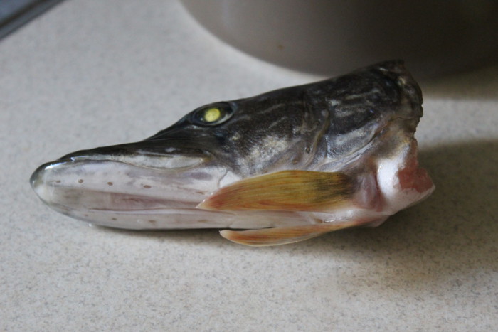 Рыбный суп из головы щуки на скорую руку
