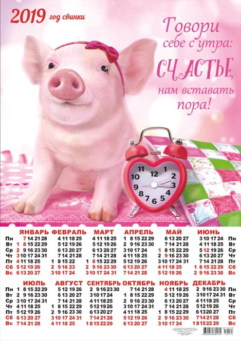 Красивые календари со свинками на 2019 год