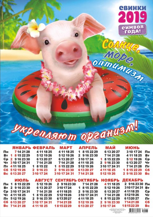 Красивые календари со свинками на 2019 год