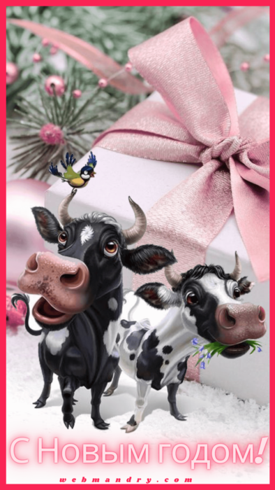 Новогодние открытки 2021 с быками