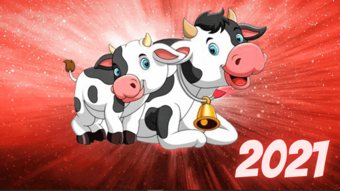 Прикольные новогодние бычки - поздравительные картинки на Новый год 2021