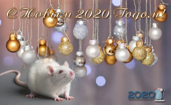 Новогодние открытки с годом Крысы