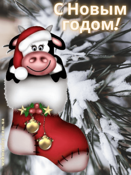 Новогодняя открытка с бычком - милая и оригинальная